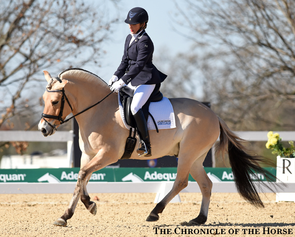 Sven-canter-DSC_0218.jpg